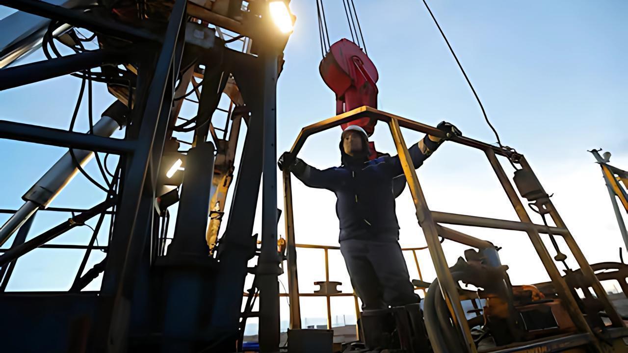 DP World Launches Fully Automated Terminal in Dubai