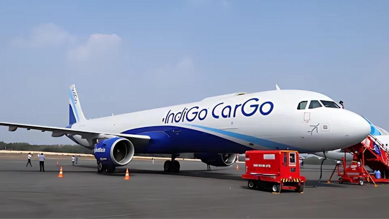 IndiGo Flight Faces Mid-Air Snag After Bird Strike