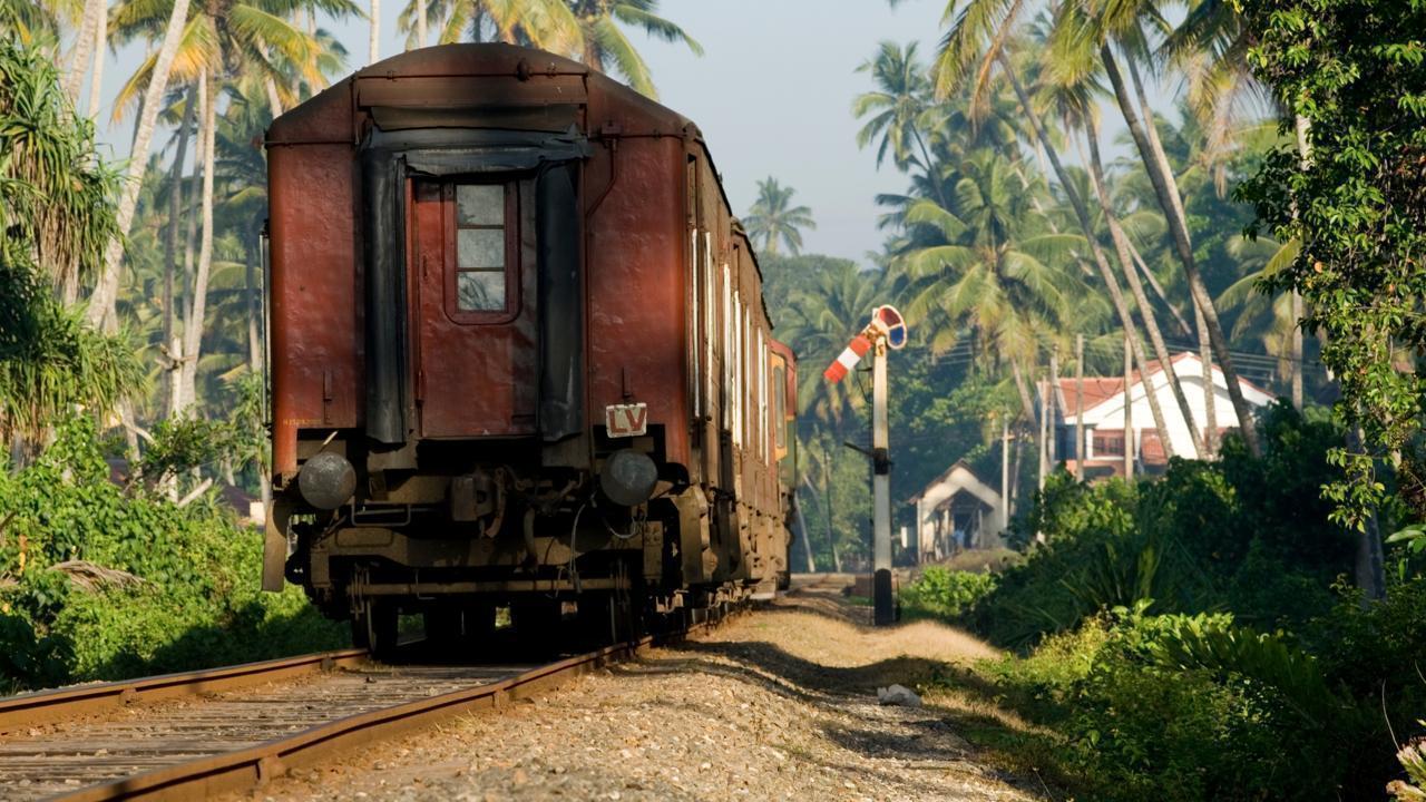 Brazil-China Amazon Railway Moves Ahead Despite Environmental Fears