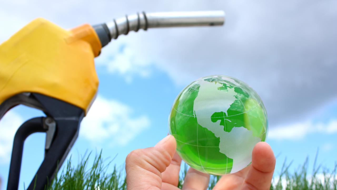 Thailand Attracts Biofuel Investments for Green Shipping