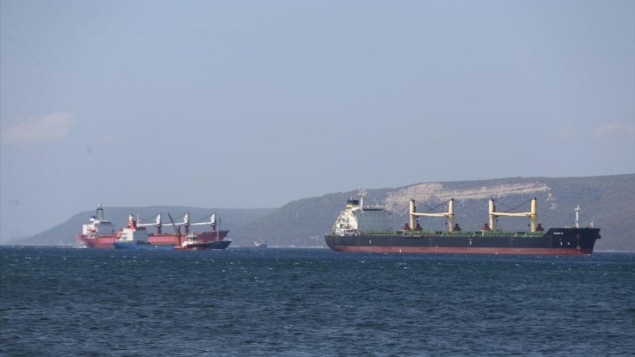 Bulk Carrier Elina B Disabled After Engine Failure in Turkey
