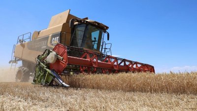 ILO's Strategy to Improve Worker Conditions in Supply Chains