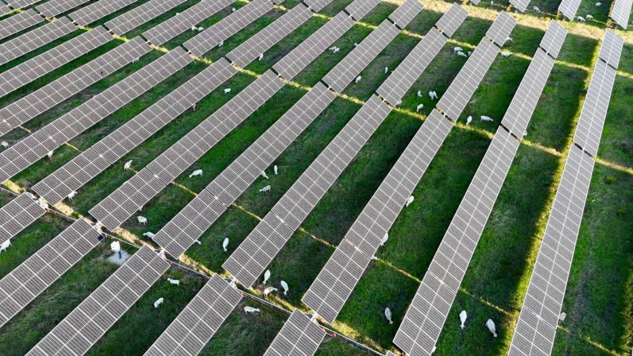 Enel & Mars Sign Texas Solar Pact Powering 150,000 Homes
