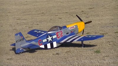 Flying Circus Model Airplane Club Hosts Exciting Weekend Gathering
