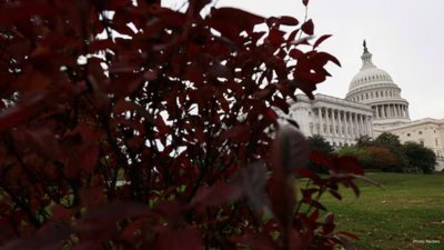 Markets Cheer Signs of Progress to End U.S. Government Shutdown